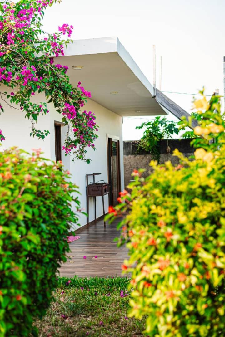 Secret Garden Appartement Kendwa