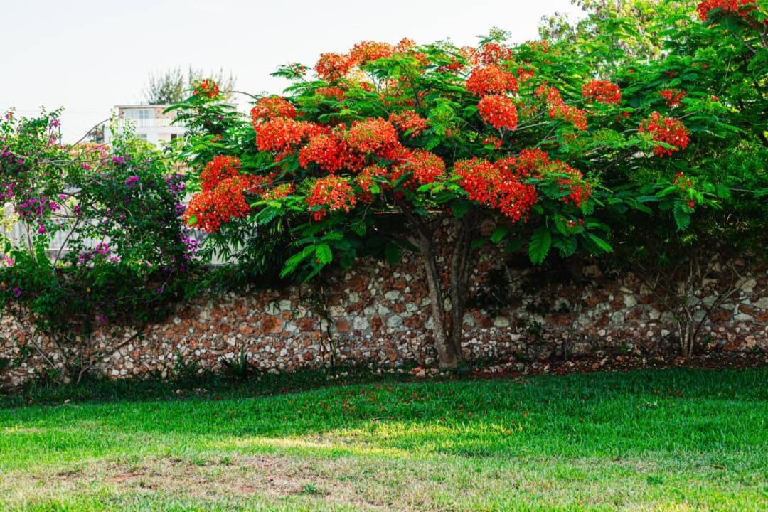 Appartement Secret Garden *