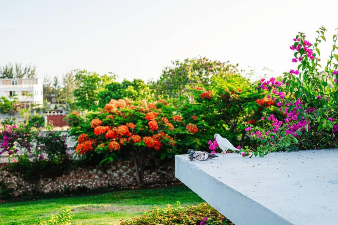 Appartement Secret Garden