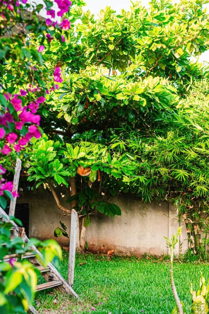 Secret Garden Appartement Kendwa